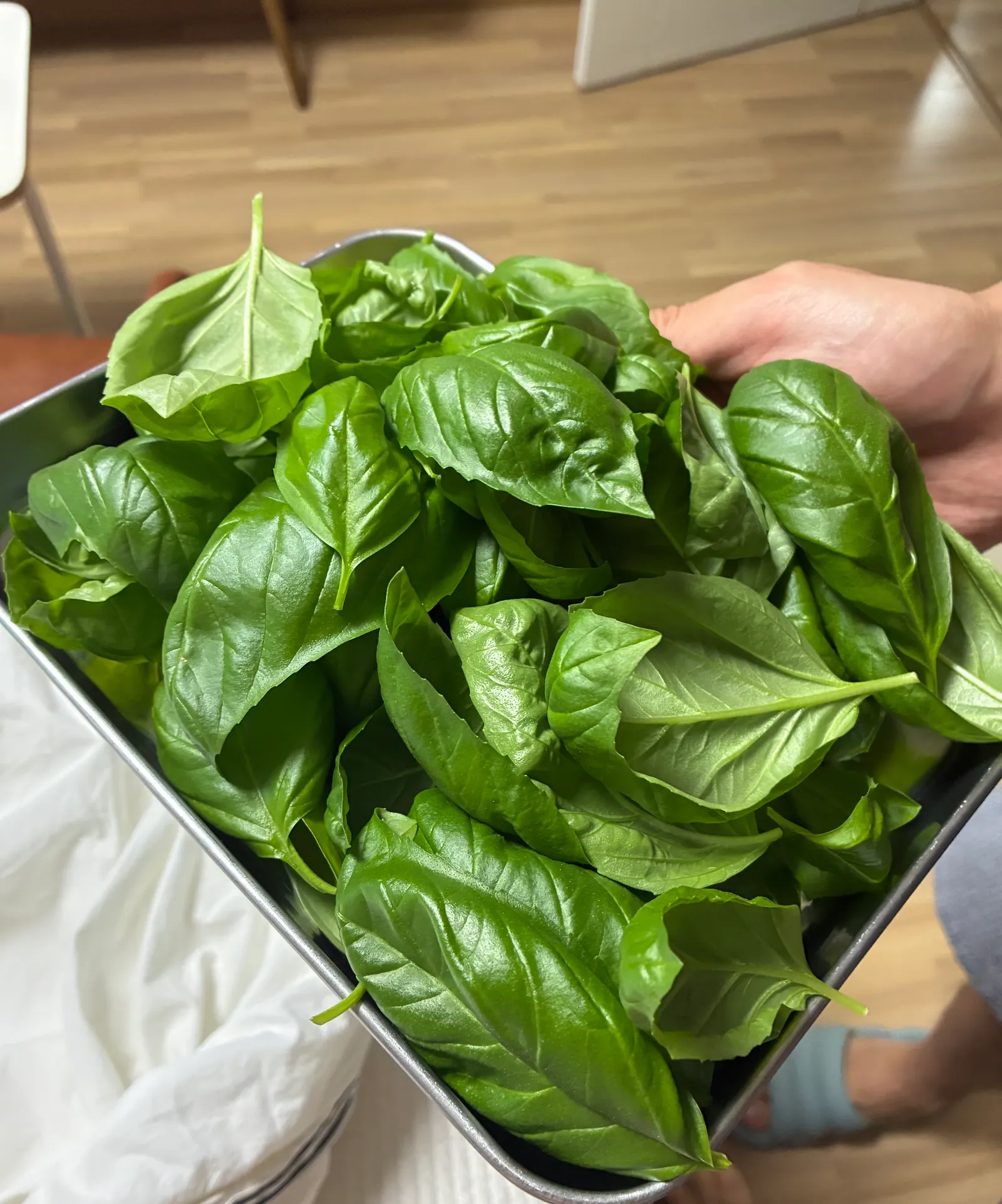 A Very Good Year for Basil